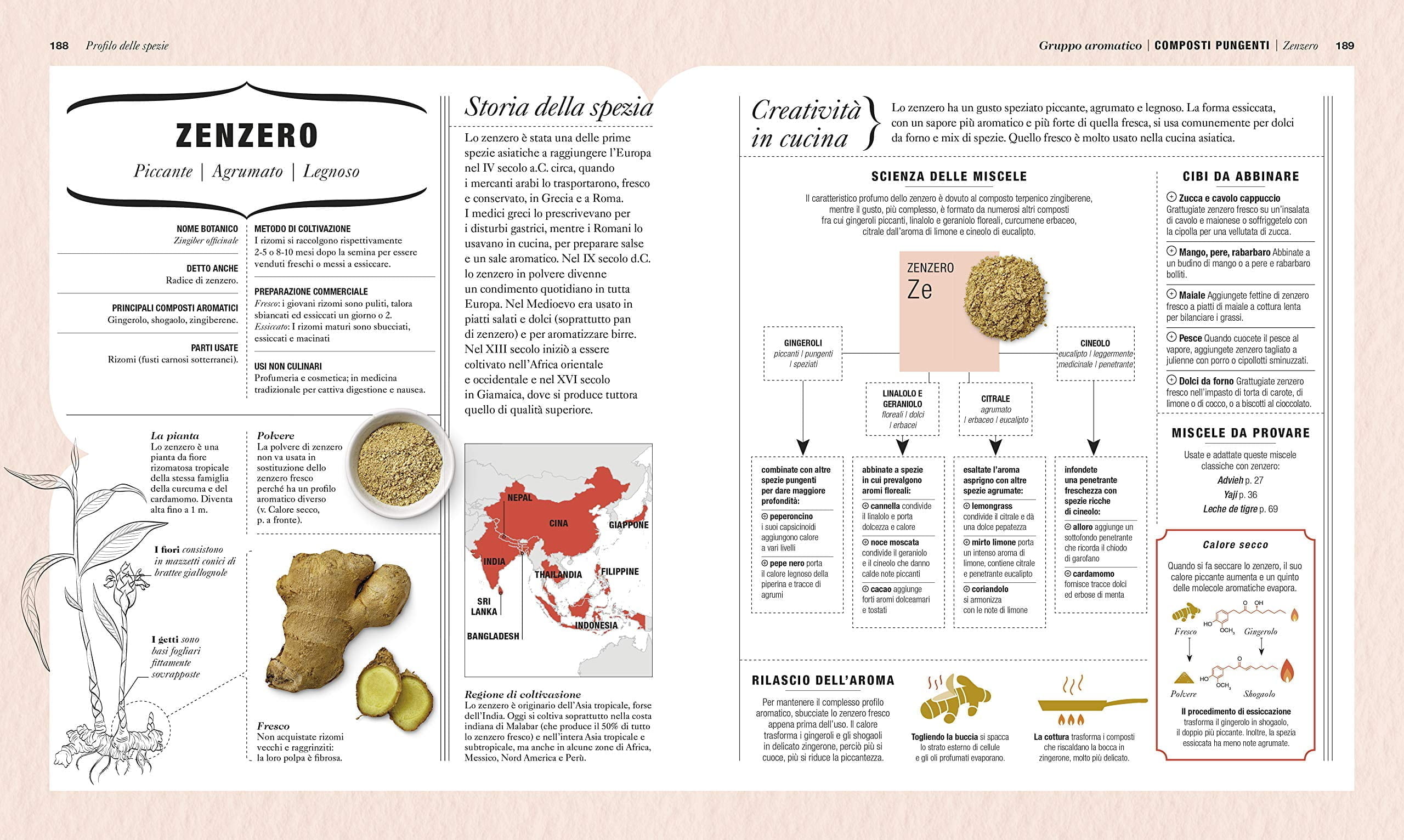 La scienza delle spezie. Scopri nuovi modi di utilizzarle e rivoluziona la  tua cucina - Vero Food Store